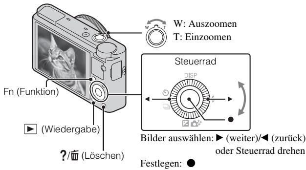SONY DSC-RX100 - Anzeigen von Bildern - 1