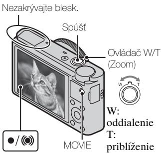 SONY DSC-RX100 - Snímanie statickych záberov a videoozáznamov - 2