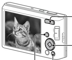 SONY DSC-W830 PACK  : ETUI - Vise Bilder - 1