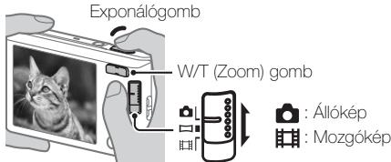 SONY DSC-W830 PACK  : ETUI - Ällókepek/mozgókepek keszítese - 1