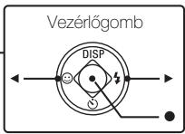 SONY DSC-W830 PACK  : ETUI - Képek megtekintése - 5