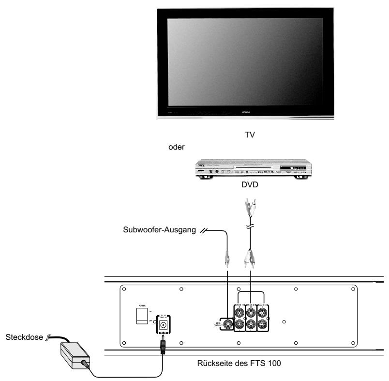 AUDIOVOX FTS 100 - ANSCHLUSSE - 1