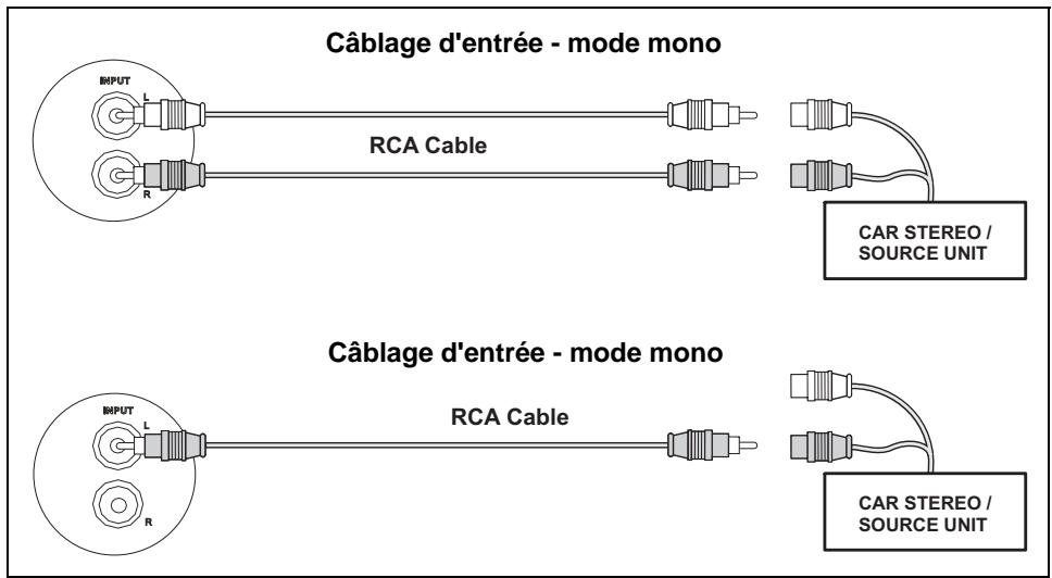 AUDIOVOX POWER AMPLIFIERS 1050 - Câblage d'entrée - 2