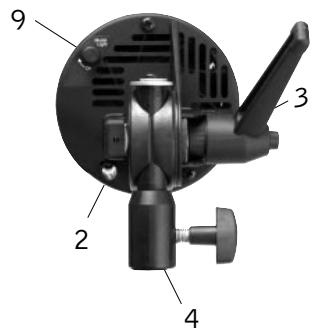 PROFOTO D4 - Torche Acute2/D4 Twin (bi-tubes) - 3