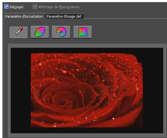 GRASS VALLEY EDIUS EDIT ANYTHING 6.0 - Basculement de l'affichage - 1