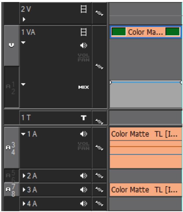 GRASS VALLEY EDIUS EDIT ANYTHING 6.0 - Connexion/deconnexion du canal source par piste - 1