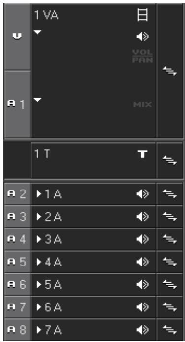 GRASS VALLEY EDIUS EDIT ANYTHING 6.0 - Mode du canal source audio - 1