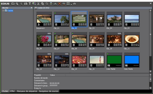 GRASS VALLEY EDIUS EDIT ANYTHING 6.0 - Mode simple - 1
