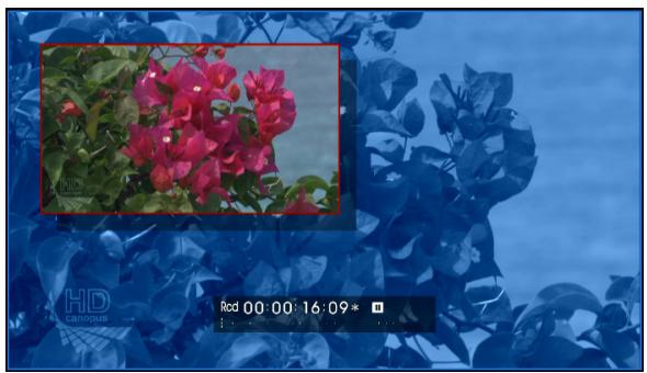 GRASS VALLEY EDIUS EDIT ANYTHING 6.0 - Copier l'arrière-plan - 1