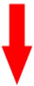 GRASS VALLEY EDIUS EDIT ANYTHING 6.0 - Indication de l'ordre de changement deamera - 1