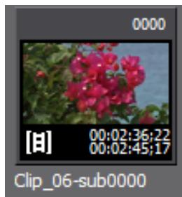 GRASS VALLEY EDIUS EDIT ANYTHING 6.0 - Clip vidéo - 1