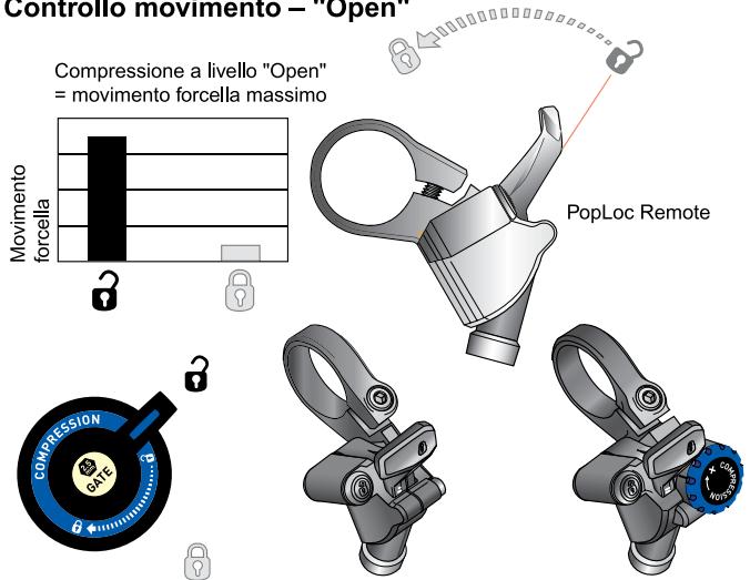 DAHON PIKE - SISTEMA DI SMORZAMENTO DEL CONTROLLO MOVIMENTO (Pike, Revelation, Reba, Domain 318IS, Argyle 318 & 409) - 1