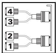 MATROX QID PRO - Connect your monitors - 4