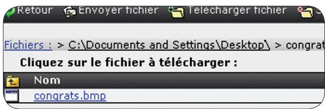 LAPLINK EVERYWHERE 4 - Options de fichiers - 1