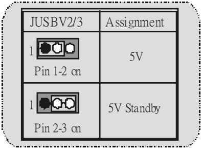 BIOSTAR U8668-D - Case Open Connector: JCI1 (optional) - 2
