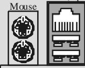 BIOSTAR U8668-D - Back Panel Connector - 1