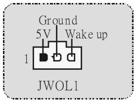 BIOSTAR U8668-D - Wake On LAN Header: JWO L1 (optional) - 1