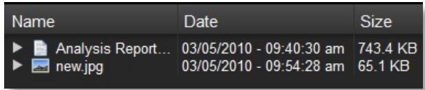 LEXAR ECHO BACKUP - Dateversionierung - 1