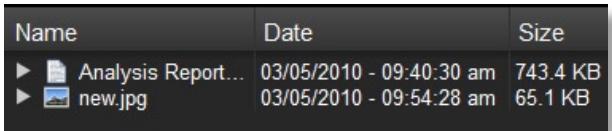 LEXAR ECHO BACKUP - Controllo della versione dei file - 1
