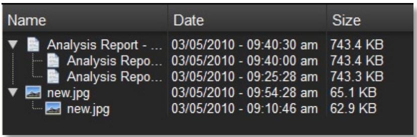 LEXAR ECHO BACKUP - Controllo della versione dei file - 2