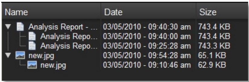 LEXAR ECHO BACKUP - Versiones de los ARCHIVOS - 2