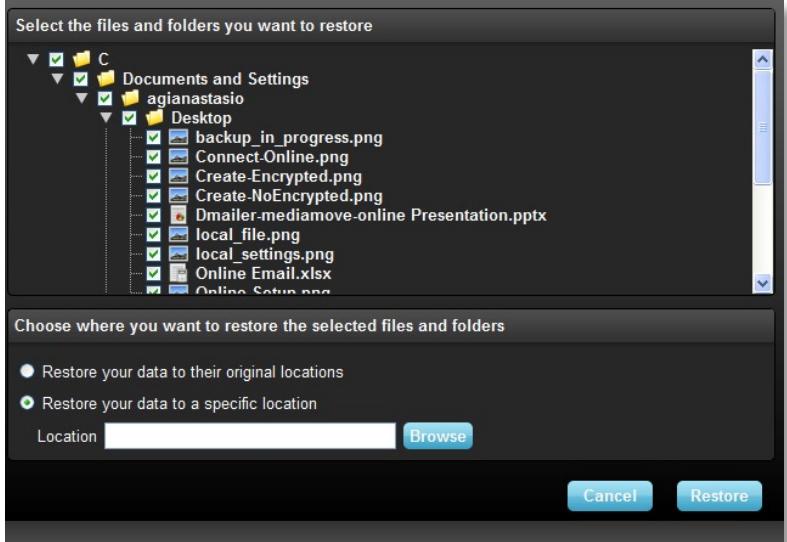 LEXAR ECHO BACKUP - Restore - 1