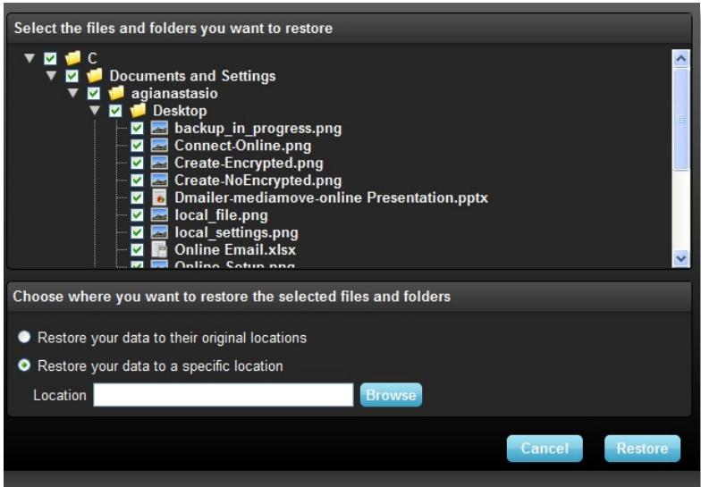 LEXAR ECHO BACKUP - Restore files - 2
