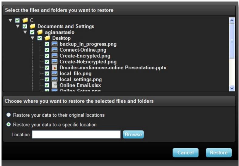 LEXAR ECHO BACKUP - Restore - 1