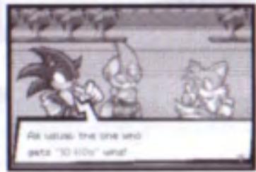 GAMES NINTENDO GAME BOY ADVANCE SONIC BATTLE - DEROUULEMENT DE LA BATAILLE - 1