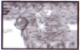 GAMES NINTENDO GAME BOY ADVANCE SONIC BATTLE - Mouvements spéciaux - 1