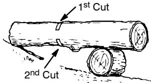 POULAN PRO PP3516 - BUCKING USING A LOG OR SUPPORT STAND - 2