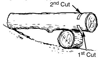 POULAN PRO PP3516 - BUCKING USING A LOG OR SUPPORT STAND - 1