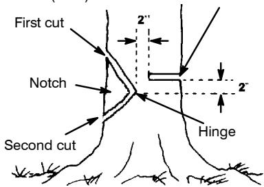 POULAN PRO PP3516 - NOTCH CUT AND FELLING THE TREE - 1