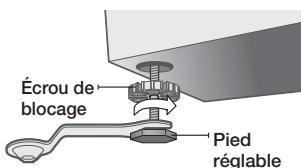 SAMSUNG WF455ARGSGR - Installation de votre lave-linge - 6