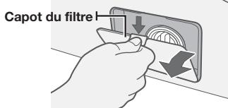 SAMSUNG WF455ARGSGR - Nettoyer le filtre à impuretés - 1
