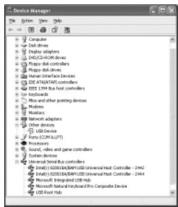 SAMSUNG YP-N30 - Manual Installation of USB Driver - 1