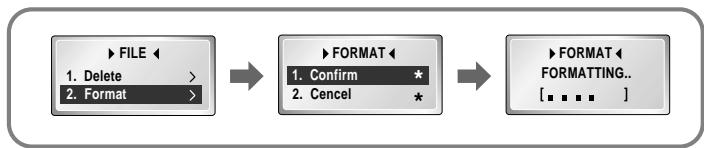 SAMSUNG YP-N30 - Formatting - 1