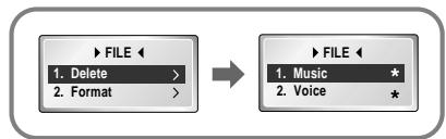 SAMSUNG YP-N30 - Deleting - 1