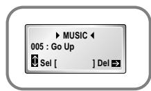 SAMSUNG YP-N30 - Deleting - 3