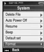 SAMSUNG YP-T8X - Format - 1