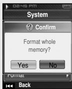 SAMSUNG YP-T8X - Format - 3