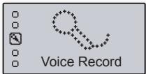 Voice Record