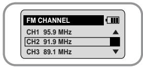 FM CHANNEL CH1 95.9 MHz CH2 91.9 MHz CH3 89.1 MHz