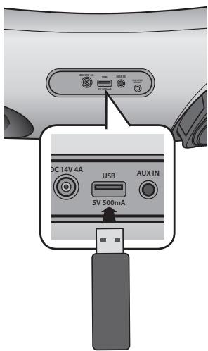 SAMSUNG DA-E650 - Prima di collegare un disposativo USB - 1