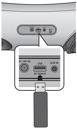 SAMSUNG DA-E650 - Before you connect a USB device - 2
