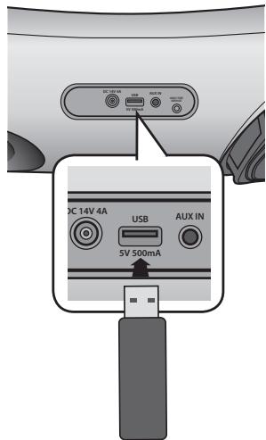 SAMSUNG DA-E650 - SOFTWARE AKTUALISIERUNG (NUR USB MODUS) - 1