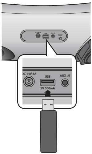 SAMSUNG DA-E650 - Avant de connecter un périphérique USB - 1
