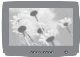 SAMSUNG DIGIMAX130 - Accessories (Optional) - 3