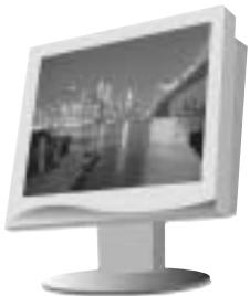 SAMSUNG DIGIMAX130 - Accessoires (Optioneel) - 7