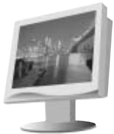 SAMSUNG DIGIMAX130 - Accessori (Opzionale) - 7